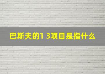 巴斯夫的1 3项目是指什么